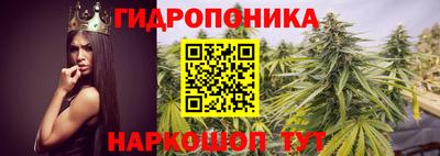 ПСИЛОЦИБИНОВЫЕ ГРИБЫ Бузулук