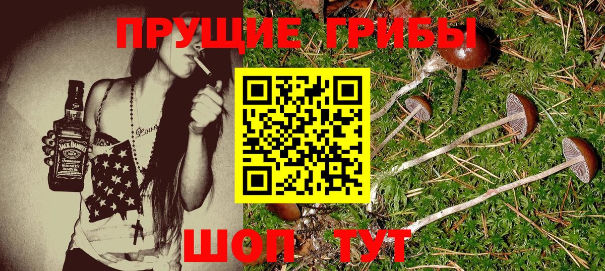 Галлюциногенные грибы Magic Shrooms Тобольск