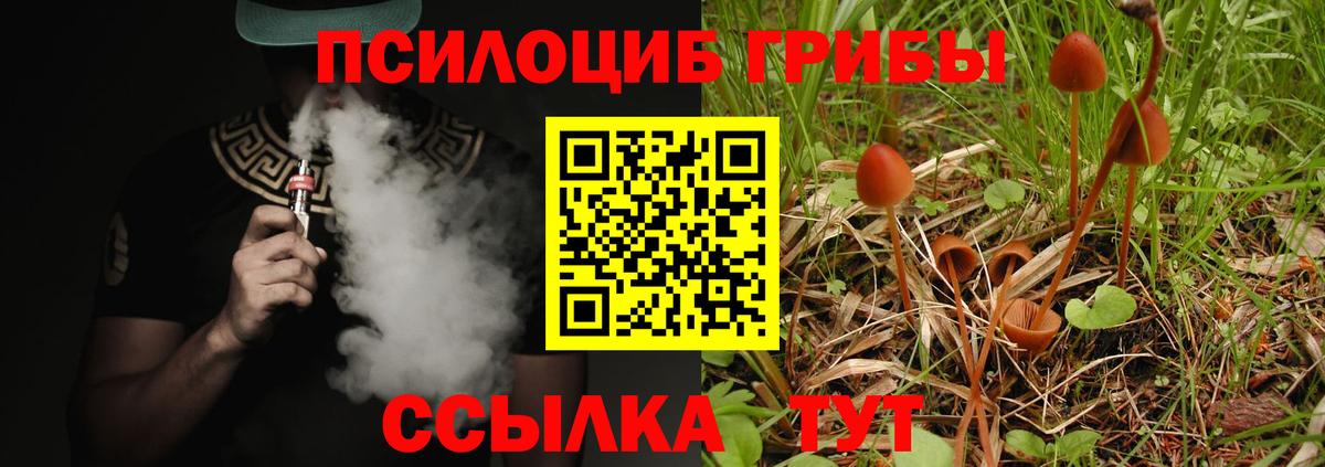 Псилоцибиновые грибы Psilocybine cubensis  Вход с VPN  Тобольск 